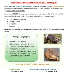 Piégeage des ragondins et rats musqués