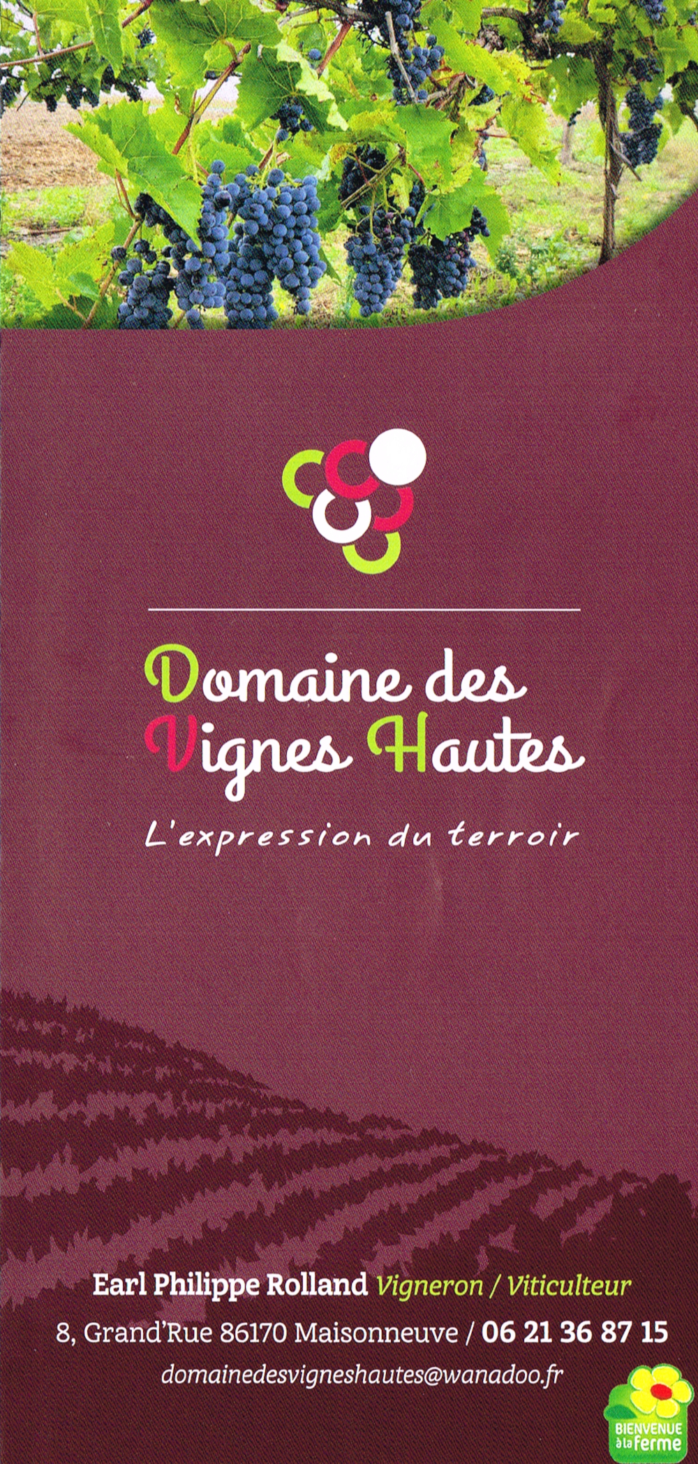 Domaine des Vignes Hautes